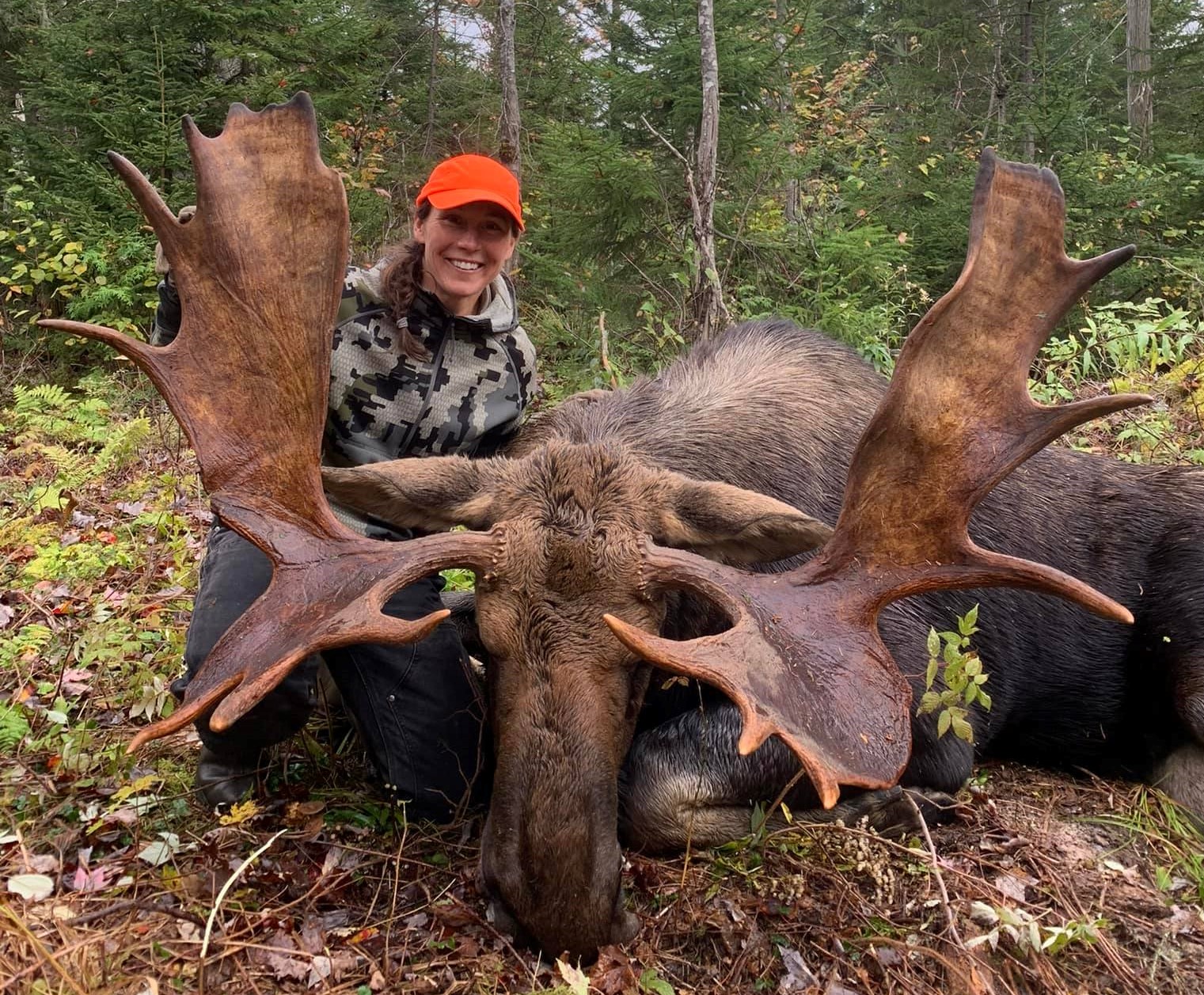 Hunter and moose